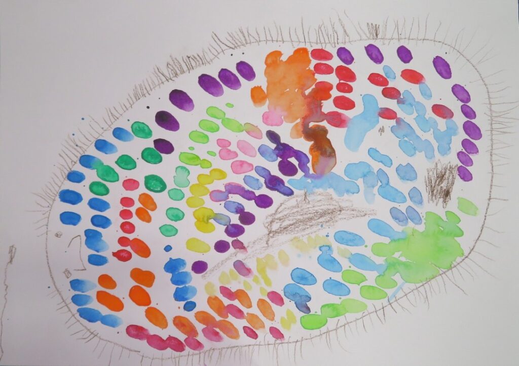 佐々木 佑弦（ひかり保育園年中）
「はらぺこあおむし」